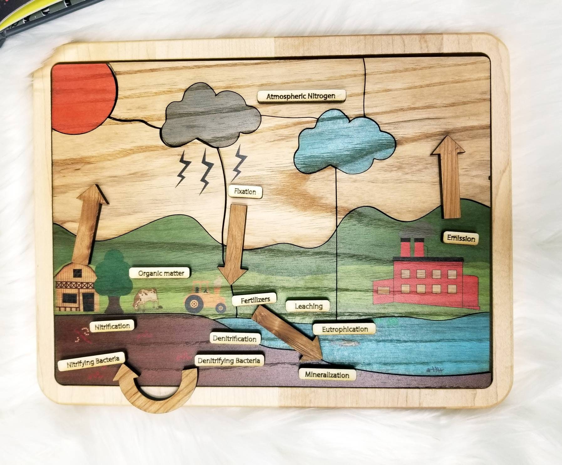 Nitrogen Cycle Nature Cycles Earth Science Montessori Etsy Australia