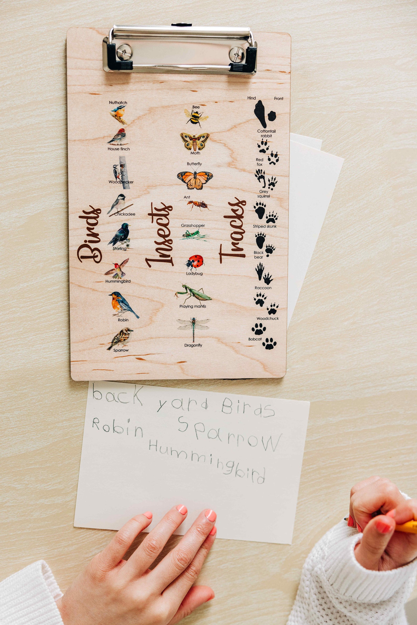 Explorer Clipboard Nature Clipboard Wooden Clipboard Little Etsy