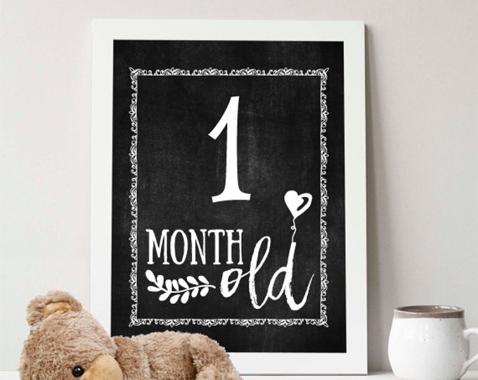 Instant Download, Printable Monthly Age Photo Prop, Milestone, Baby ...