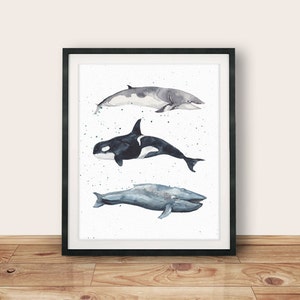 May include: A framed watercolor painting of three whales. The whales are a gray whale, an orca, and a minke whale. The whales are painted in a realistic style with splashes of watercolor paint in the background.
