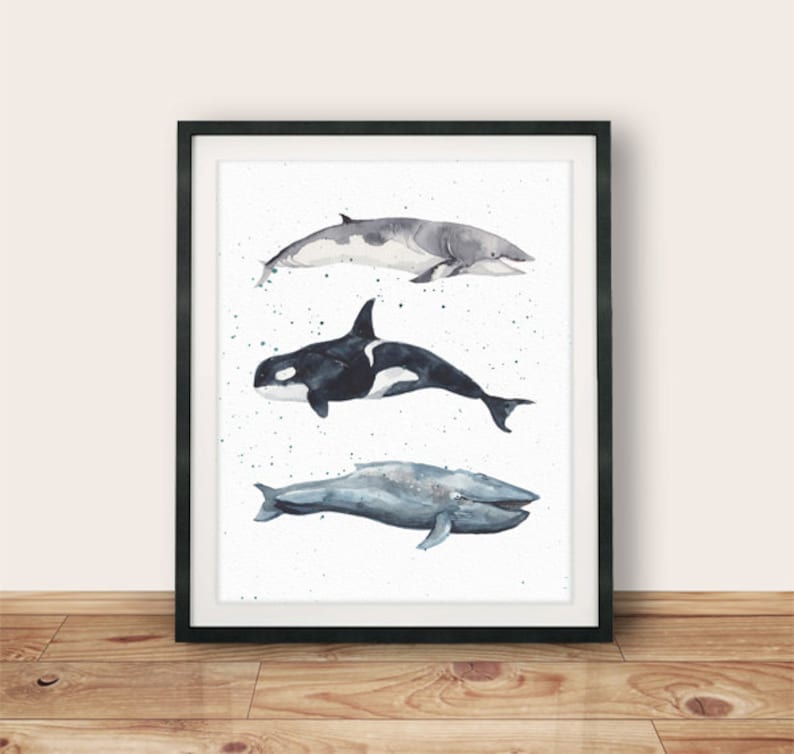 May include: A framed watercolor painting of three whales. The whales are a gray whale, an orca, and a minke whale. The whales are painted in a realistic style with splashes of watercolor paint in the background.