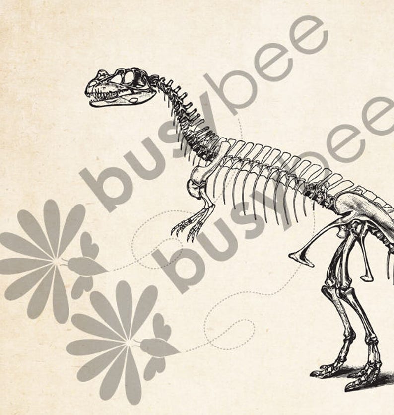 Instant Download Dinosaur Print Set Dinosaur Skeleton - Etsy