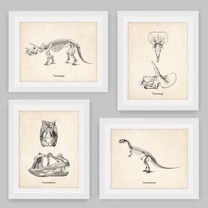 Set of 4, Dinosaur Set, Shipped Prints, Dinosaur Skeleton, Prehistoric, Paleontology, Fossil, Boys Bedroom, Office Decor, Home Decor