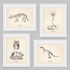 Instant Download, Dinosaur Print Set, Dinosaur Skeleton, Prehistoric, Paleontology, Fossil, Boys Bedroom, Office Decor, A4, 8x10