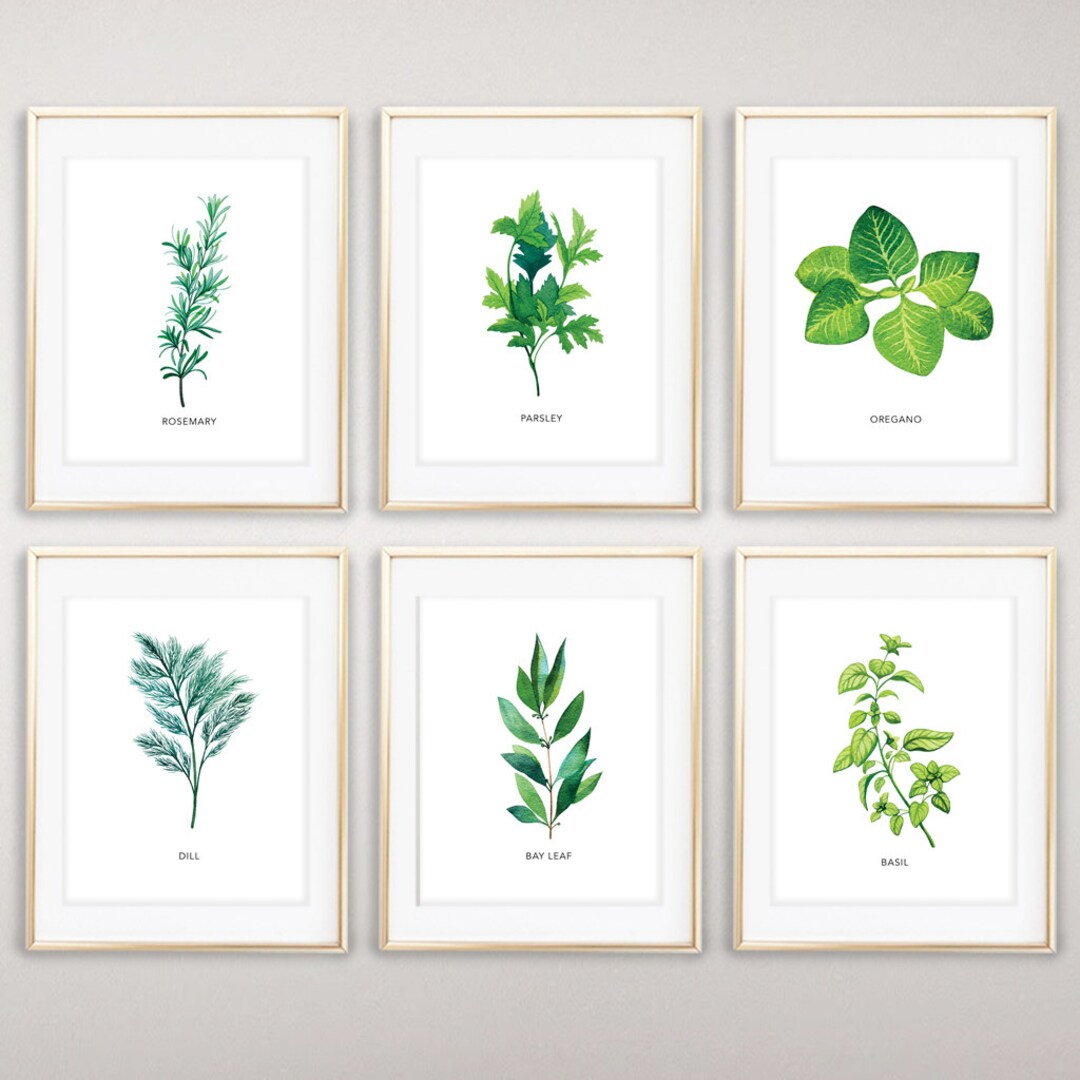 Instant Download, Set of 6 Herbs, Watercolor Herbs, Kitchen Decor ...