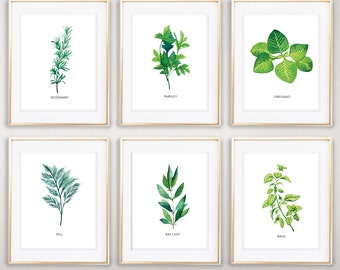 Set of 6 Art Prints, Herbs, Watercolor Herbs, Kitchen Decor, Oregano, Basil, Rosemary, Bay Leaf, Dill, Parsley, Kitchen, Kitchen Prints