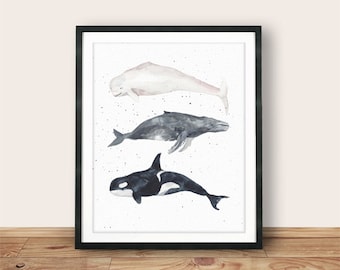 Instant Download, Beluga Whale, Humpback Whale, Orca, 8x10, Nautical Whales, watercolor, Whale Art Print, Printable Wall Art, Wall Decor