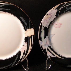May include: Two black and white dinner plates with a floral design. The plates have a gold rim and feature a delicate floral pattern in shades of pink, blue, and yellow.