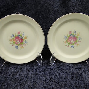 Taylor Smith Taylor 1821 Bread Plates 6 1/4&quot; Floral Roses Set of 2 Excellent