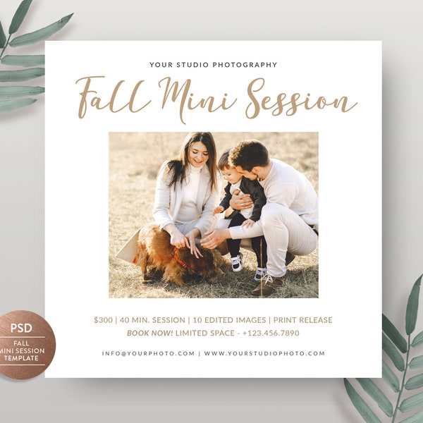 Fall Mini Session Template for Photographer, Mini Session Marketing Flyer, Autumn Session Template - INSTANT DOWNLOAD MS059