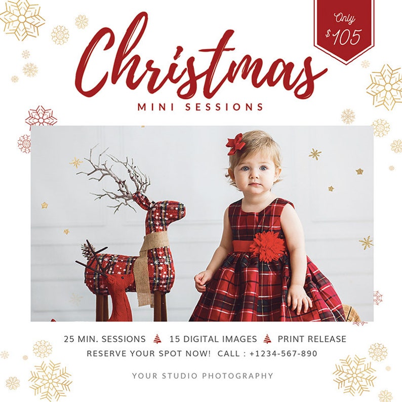 Christmas Mini Session Template Holiday Mini Session Flyer Etsy