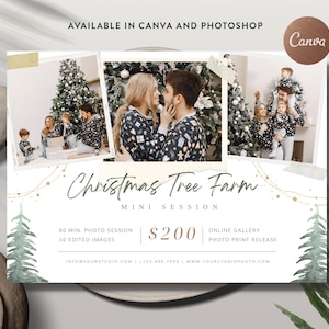 Christmas Mini Session Canva Template, Holiday Mini Session Flyer, Photography Mini Session Photoshop Template - INSTANT DOWNLOAD MS075