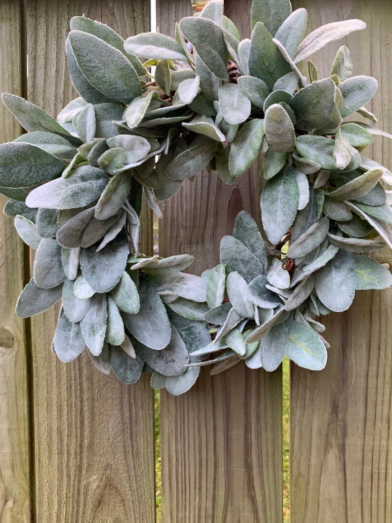 Mini Lambs Ear Wreath Wreath for Tobacco Basket Candle Ring Etsy