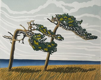 Escaping the wind