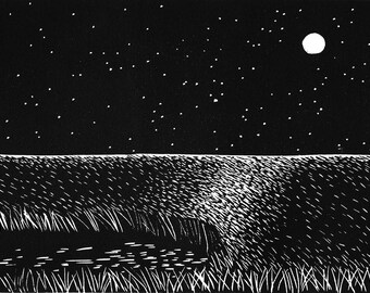 Nacht over de toendra