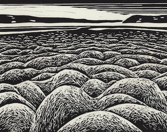 Zee van Hummocks
