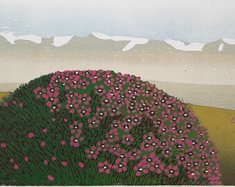 Silene acaulis