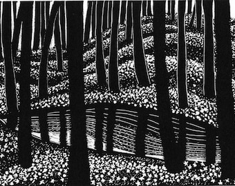 Spring Forest