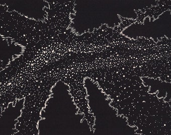 Starry Vooruitzichten