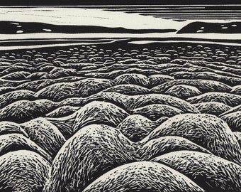 Zee van Hummocks