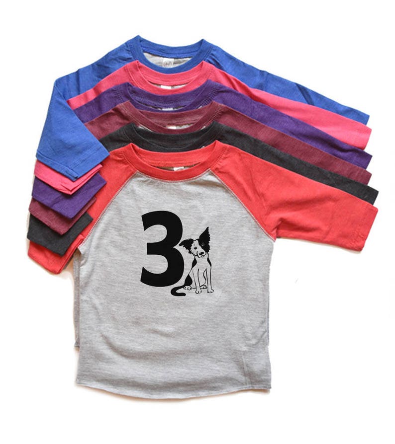 Toddler Dog Birthday Shirt 3 Boy/girl Third Birthday Raglan Etsy