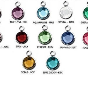 May include: Twelve round charms with different colored gemstones, each charm has a silver bail and a label with the gemstone name and corresponding month.  The gemstones are Siam, Amethyst, Aquamarine, Crystal, Emerald, Light Amethyst, Peridot, Sapphire, Rose, Topaz, and Blue Zircon.