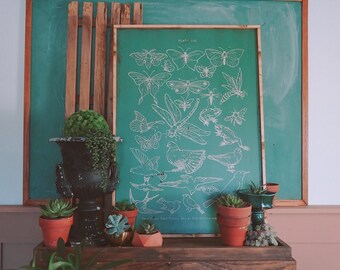 Insect & Bird Forms Sign