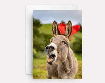Funny Donkey Christmas Card: Hardheaded Friend Xmas Greeting