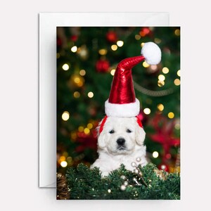 Golden retriever christmas card - dog christmas cards - cute christmas cards - personalized christmas cards - O Come, All Ye Retrievers