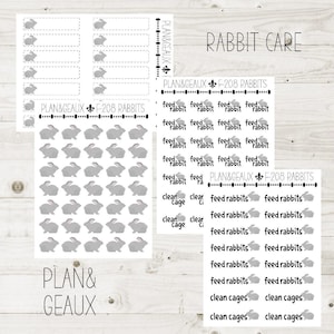 Rabbit Planner Stickers, Rabbit Care, Quarter Square Stickers, Farm Stickers, Happy Planner Stickers, Bullet Journal, Bujo Stickers, FUN-208