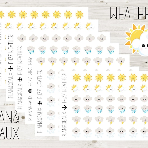 Weather Stickers, Daily Weather Stickers, Sun Stickers, Cloudy Stickers, Thunderstorm Stickers, Snow Stickers, Planner Stickers FUN-177