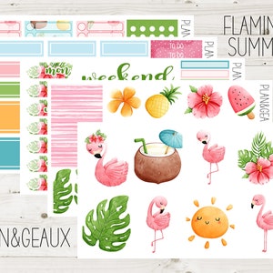 Tropical Flamingo Weekly Planner Kit, Flamingo Weekly Planner Stickers, Summer Stickers, Tropical Stickers,  Erin Condren, ECV-WK 116