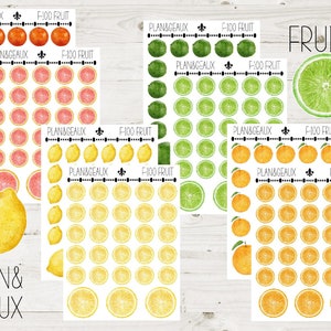 Fruit Planner Sticker, Citrus Stickers, Orange, Lemon, Lime, Grapefruit Planner Stickers, Planner Stickers, FUN-100