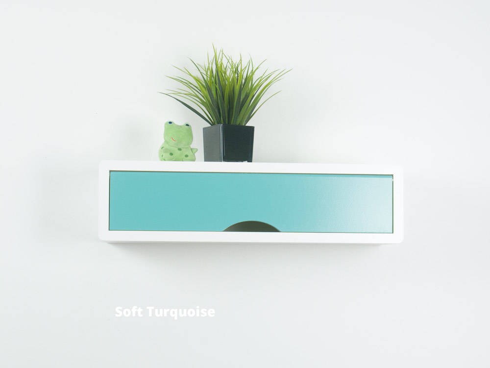 Contemporary Floating Shelf With Colorful Door Slim Wall Etsy