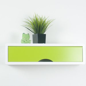 Contemporary Floating Shelf with Colorful Door, Slim Wall Cabinet, Wall Decor Box