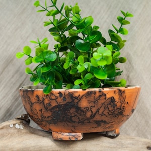 Op de afbeelding: Een kleine plant in een pot met groene bladeren in een bruine keramische pot met een gekrakelde glazuur. De pot heeft drie poten en staat op een houten oppervlak.