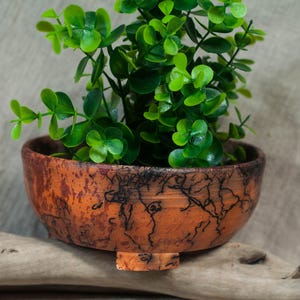 Pferd tontopf - Etsy.de