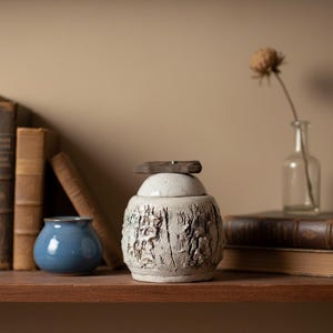 May include: A textured, off-white ceramic jar with a wooden lid sits on a wooden shelf. A small blue ceramic vase and several books are also on the shelf. A dried flower in a glass vase is in the background.