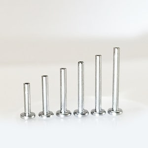 May include: Six silver-colored rivets of varying lengths are arranged in a row. Each rivet has a flat, circular head and a cylindrical body. The rivets are made of a shiny, metallic material and are set against a plain white background.