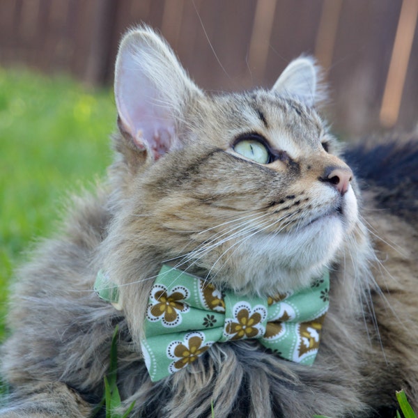 Paisley print cat bow tie collar, paisley cat collar tie, cat collar, bow tie for cat, kitten collar, kitten bow tie, cat costume, cat scarf