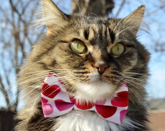 Heart Valentines cat collar with bow tie, Valentines Day cat collar, Valentines Day kitten collar, heart cat bow tie, holiday cat bow tie