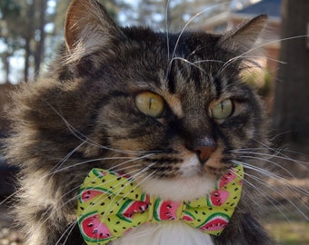 Summer watermelon cat bow tie, summer cat bow tie collar, Watermelon cat bow, watermelon cat collar, kitten collar, lime green cat collar