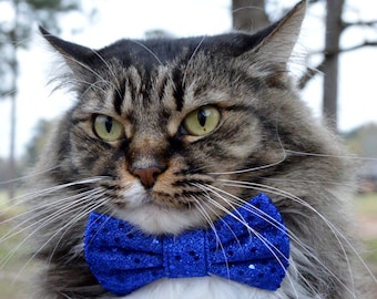 blue cat bow tie cat collar with sequins fancy cat bow tie sparkle cat collar blue sequin cat bow tie collar blue sequin cat collar