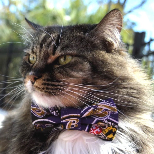 Baltimore Ravens cat collar, Baltimore Ravens cat bow tie, Ravens football collar bow tie for cat, safety release buckle. Gift for cat lover