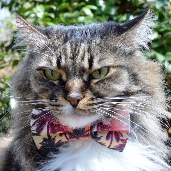 Palm Tree Bow Tie Etsy