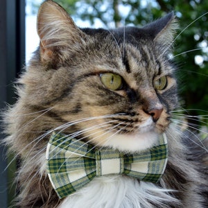 Green plaid cat bow tie collar, plaid bow tie, plaid collar, breakaway cat collar, plaid bow tie for kitten, plaid kitten collar, cat gift