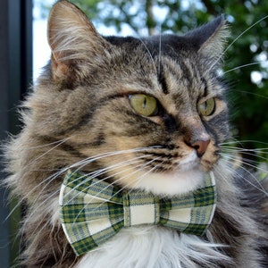 Kitty collar for humans hot sale