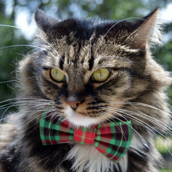 Collier pour chat à carreaux de Noël, nœud papillon à carreaux pour chat, collier à carreaux pour chats, nœud papillon à carreaux à carreaux, nœud papillon à carreaux à carreaux rouge-vert