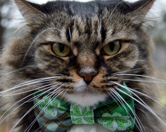 Plaid St. Patricks Day cat collar, green plaid collar, Green plaid cat bow tie, plaid cat collar and bow tie, green cat collar, kitten bow