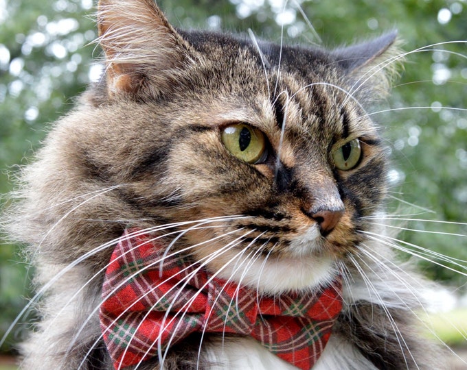 Christmas Plaid Cat Collar Plaid Bow Tie for Cat Plaid Cat Etsy